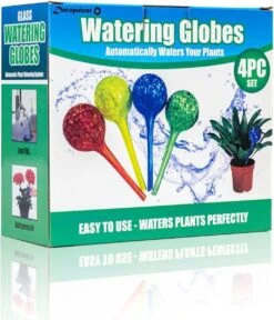 Merkloos Decopatent® 4 Stuks - Waterdruppelaar Voor Planten - Watergever - Glas - Waterbollen - Watergeefsysteem - Plantenbollen - Groen 12 Merkloos Decopatent® 4 Stuks - Waterdruppelaar Voor Planten - Watergever - Glas - Waterbollen - Watergeefsysteem - Plantenbollen - Groen -Tuin- En Buitenwinkels 1029x1200 3