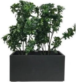 Elho Vivo Matt Finish Lang Wielen 90 - Grote Staande Plantenbak Voor Binnen & Buiten - Gemaakt Van Gereycled Plastic - L 39 X W 88 X H 41 Cm - Zwart -Tuin- En Buitenwinkels 1124x1200 6