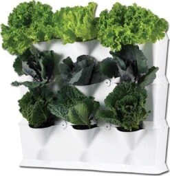 Minigarden Vertical Verticale Tuin - Wit 11 Minigarden Vertical Verticale Tuin - Wit -Tuin- En Buitenwinkels 1157x1200 5