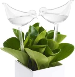 Luxe Planten Waterdruppelaar - Waterbol Vogel - Watergever - Watergeefsysteem Voor Planten & Bloemen - 200ML - Set Van 2 -Tuin- En Buitenwinkels 1160x1200 2