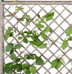 Casaria Polyrattan Bloembak – 3 Bakken Klimophek - Crème -Tuin- En Buitenwinkels 1163x1200 6