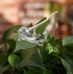 Waterdruppelaar Planten - Vorm Vogel - Set Van 3 Kunststof Druppelaars - 25cm Lengte - Genoeg Water Tijdens Je Vakantie -Tuin- En Buitenwinkels 1190x1200 10