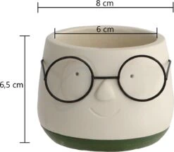 2x Bloempot Met Gezicht - Ø8 X H6,5 Cm - Bloempotten Voor Binnen Met Bril/Face/Hoofd -Tuin- En Buitenwinkels 1200x1045 3