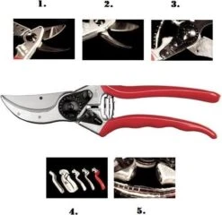 Felco 2 Snoeischaar - Rechtshandig - Max. Knipdiameter 25 Mm - Lengte 215 Mm 18 Felco 2 Snoeischaar - Rechtshandig - Max. Knipdiameter 25 Mm - Lengte 215 Mm -Tuin- En Buitenwinkels 1200x1168 2