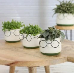 2x Bloempot Met Gezicht - Ø8 X H6,5 Cm - Bloempotten Voor Binnen Met Bril/Face/Hoofd -Tuin- En Buitenwinkels 1200x1178 10