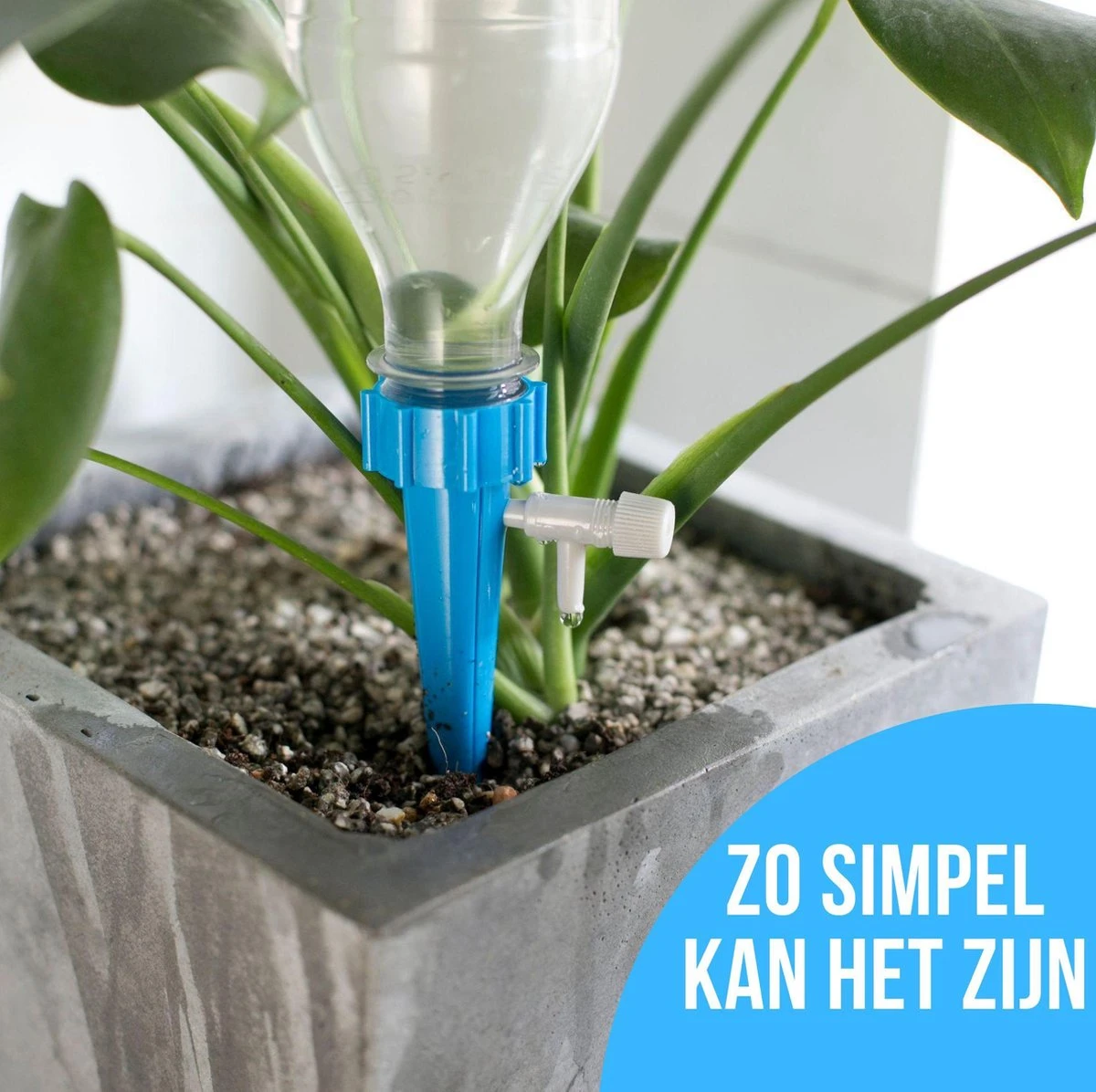 12 Stuks Plant Bewateringssysteem | Waterdruppelaar | Druppelsysteem |Bewateringssysteem | Bewateringsyteem Watergeefsysteem | Plantenbol | Automatische Gieter | Water Druppelaar | Druppel Systeem | Water Geef Systeem | Plantenbol | 12 12 Stuks Plant Bewateringssysteem | Waterdruppelaar | Druppelsysteem |Bewateringssysteem | Bewateringsyteem Watergeefsysteem | Plantenbol | Automatische Gieter | Water Druppelaar | Druppel Systeem | Water Geef Systeem | Plantenbol | - Afbeelding 12