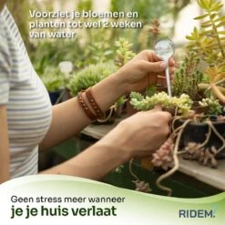 Waterdruppelaar Voor Planten - Irrigatiesysteem- Waterbol - Druppelsysteem - Watergeefsysteem Voor Kamerplanten - Plantenwatergever -6 Stuks - Transparant -Tuin- En Buitenwinkels 1200x1198 24