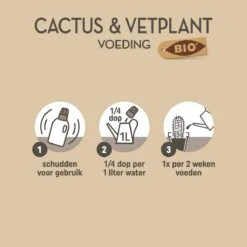 Pokon Bio Cactus & Vetplant Voeding - 250ml - Plantenvoeding (bio) - 7ml Per 1L Water 9 Pokon Bio Cactus & Vetplant Voeding - 250ml - Plantenvoeding (bio) - 7ml Per 1L Water -Tuin- En Buitenwinkels 1200x1198 28