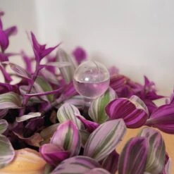 Merkloos JADI - Druppelsysteem - Waterdruppelaar Voor Uw Planten - Set Van 6 Stuks - 3 Grote & 3 Kleine - Transparante Waterbollen -Tuin- En Buitenwinkels 1200x1200 1505