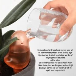 Waterdruppelaar Voor Planten 2 Stuks - Waterbol Kamerplanten - Automatisch Watergeefsysteem - Vogel - Roze 8 Waterdruppelaar Voor Planten 2 Stuks - Waterbol Kamerplanten - Automatisch Watergeefsysteem - Vogel - Roze -Tuin- En Buitenwinkels 1200x1200 1571