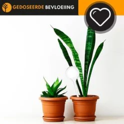 Waterdruppelaar Set Van 6 Stuks Voor Planten Transparant – 27 CM – Automatisch Watergeefsysteem Voor Kamerplanten – Planten Watergever Met Druppelsysteem – Waterbol -Tuin- En Buitenwinkels 1200x1200 1583