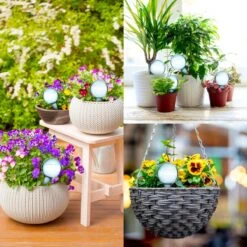 Druppelsysteem 12 Stuks Waterdruppelaar Voor Planten - Waterafgiftesysteem Voor 2 Weken - Beregening Voor Kamerplanten 13 Druppelsysteem 12 Stuks Waterdruppelaar Voor Planten - Waterafgiftesysteem Voor 2 Weken - Beregening Voor Kamerplanten -Tuin- En Buitenwinkels 1200x1200 1595