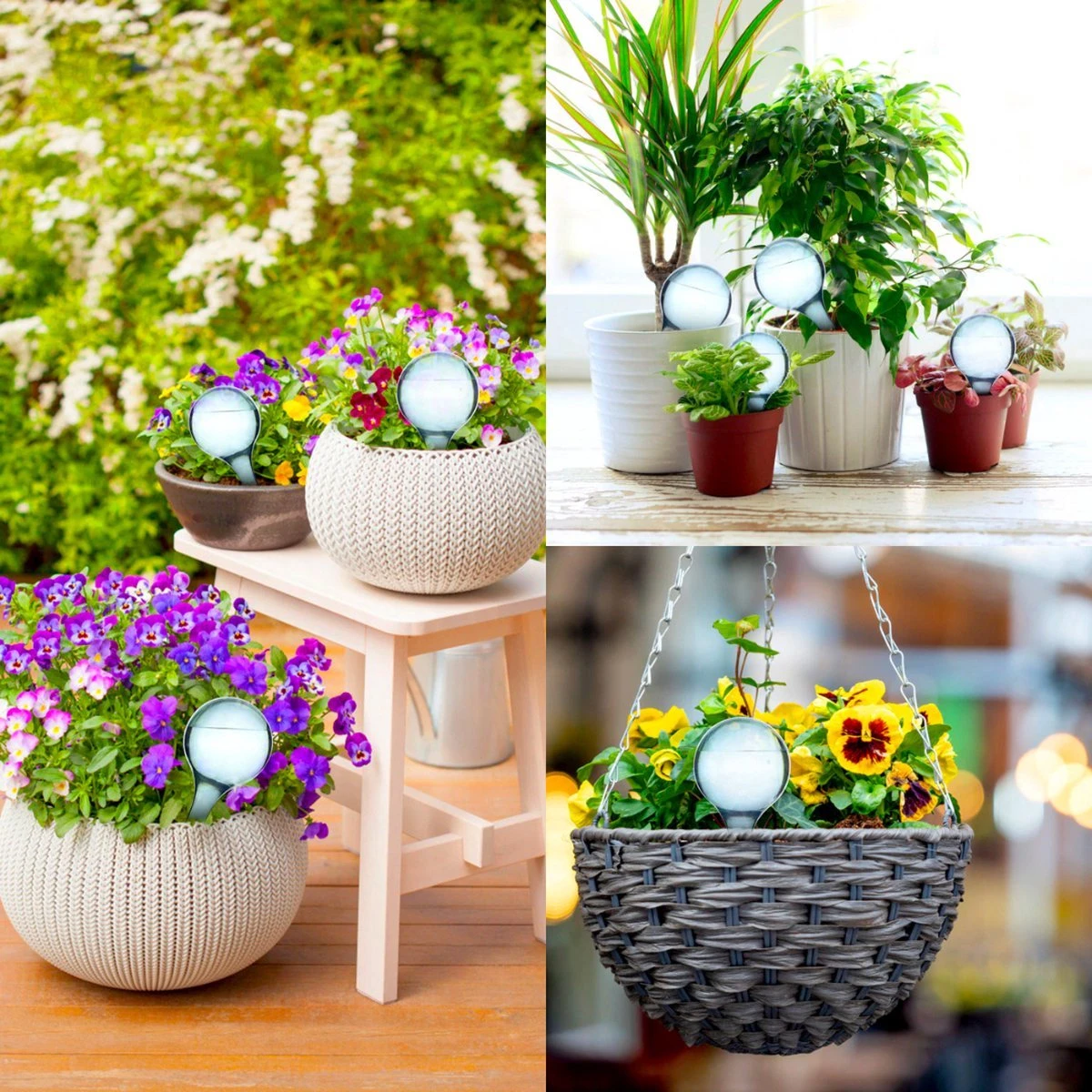 Druppelsysteem 12 Stuks Waterdruppelaar Voor Planten - Waterafgiftesysteem Voor 2 Weken - Beregening Voor Kamerplanten 6 Druppelsysteem 12 Stuks Waterdruppelaar Voor Planten - Waterafgiftesysteem Voor 2 Weken - Beregening Voor Kamerplanten - Afbeelding 6