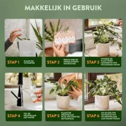 STFF & Co® Waterdruppelaar Voor Planten – Irrigatiesysteem Automatisch Watergeefsysteem – Waterbollen Voor Planten – Bewateringssysteem – 8 Stuks - 5cm 8 STFF & Co® Waterdruppelaar Voor Planten – Irrigatiesysteem Automatisch Watergeefsysteem – Waterbollen Voor Planten – Bewateringssysteem – 8 Stuks - 5cm -Tuin- En Buitenwinkels 1200x1200 1601