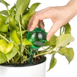 Merkloos Decopatent® 4 Stuks - Waterdruppelaar Voor Planten - Watergever - Glas - Waterbollen - Watergeefsysteem - Plantenbollen - Groen 19 Merkloos Decopatent® 4 Stuks - Waterdruppelaar Voor Planten - Watergever - Glas - Waterbollen - Watergeefsysteem - Plantenbollen - Groen -Tuin- En Buitenwinkels 1200x1200 1617