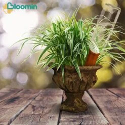 Bloomin Waterdruppelaar Van Terracotta - Waterdruppelaar Voor Planten - Druppelsysteem - Irrigatiesysteem - Watergeefsysteem - Bewateringssysteem - 8 Stuks -Tuin- En Buitenwinkels 1200x1200 1619