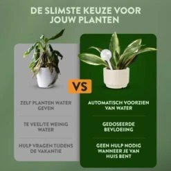 STFF & Co® Waterdruppelaar Voor Planten – Irrigatiesysteem Automatisch Watergeefsysteem – Waterbollen Voor Planten – Bewateringssysteem – 8 Stuks - 8cm 7 STFF & Co® Waterdruppelaar Voor Planten – Irrigatiesysteem Automatisch Watergeefsysteem – Waterbollen Voor Planten – Bewateringssysteem – 8 Stuks - 8cm -Tuin- En Buitenwinkels 1200x1200 1633