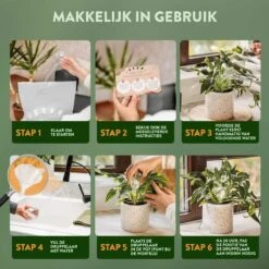 STFF & Co® Waterdruppelaar Voor Planten – Irrigatiesysteem Automatisch Watergeefsysteem – Waterbollen Voor Planten – Bewateringssysteem – 8 Stuks - 8cm 8 STFF & Co® Waterdruppelaar Voor Planten – Irrigatiesysteem Automatisch Watergeefsysteem – Waterbollen Voor Planten – Bewateringssysteem – 8 Stuks - 8cm -Tuin- En Buitenwinkels 1200x1200 1634