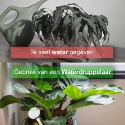 Waterdruppelaar Set Van 12 Stuks - Waterdruppelaar Voor Planten - Watergeefsysteem - Waterbol Irrigatiesysteem - Automatisch Druppelsysteem Voor Kamerplanten & Tuin - Watergever - Transparant - 15cm -Tuin- En Buitenwinkels 1200x1200 1657