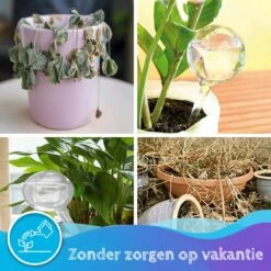 Summer Spark Waterdruppelaar Voor Planten 6 Stuks Transparant – 27 CM X 8 CM – 250 ML – Automatisch Watergeefsysteem Voor Kamerplanten – Planten Watergever Met Druppelsysteem – Waterbol -Tuin- En Buitenwinkels 1200x1200 1666