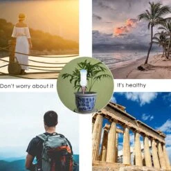 BOTC Waterdruppelaar Set Van 6 Stuks Voor Planten - Watergeefsysteem 16 BOTC Waterdruppelaar Set Van 6 Stuks Voor Planten - Watergeefsysteem -Tuin- En Buitenwinkels 1200x1200 1673