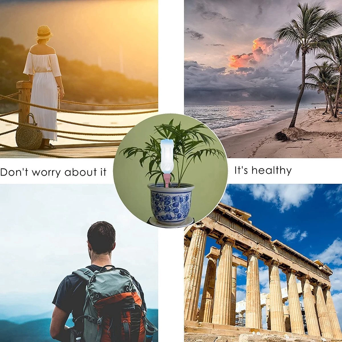 BOTC Waterdruppelaar Set Van 6 Stuks Voor Planten - Watergeefsysteem 8 BOTC Waterdruppelaar Set Van 6 Stuks Voor Planten - Watergeefsysteem - Afbeelding 8