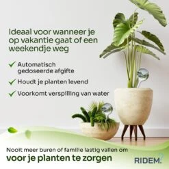 Waterdruppelaar Voor Planten - Irrigatiesysteem- Waterbol - Druppelsysteem - Watergeefsysteem Voor Kamerplanten - Plantenwatergever -6 Stuks - Transparant -Tuin- En Buitenwinkels 1200x1200 1676