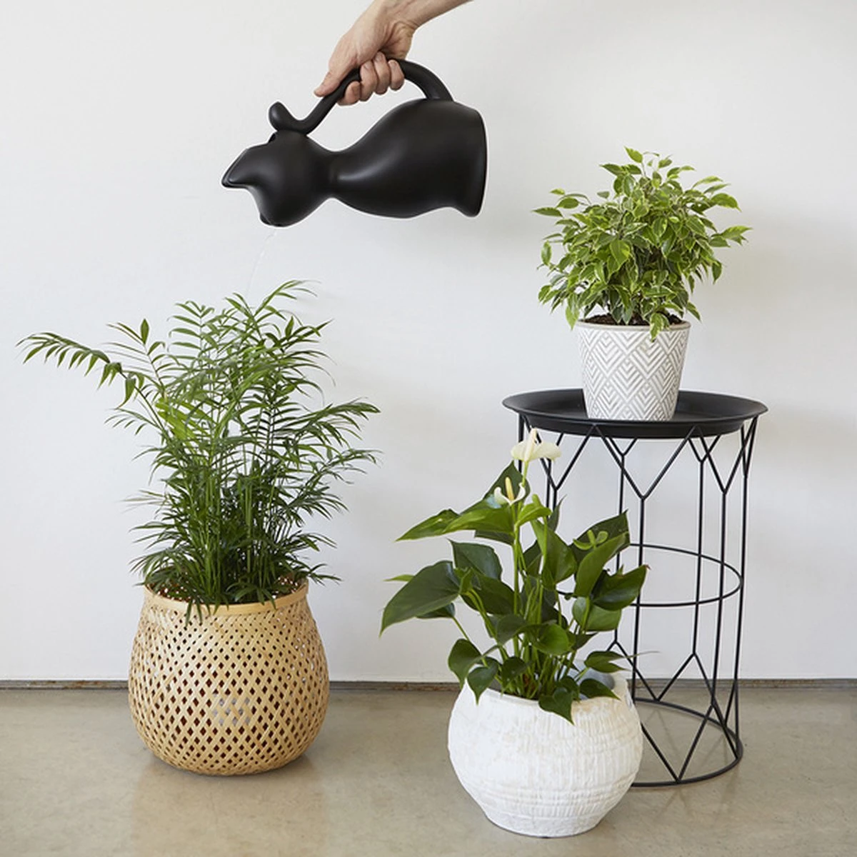 Balvi Meow! Kat Gieter - Zwart 3 Balvi Meow! Kat Gieter - Zwart - Afbeelding 3