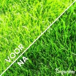 Gazonmest All-In-One (5Kg - Voor 100m2) Voor Een Diepgroen Sterk Gazon Zonder Mos En Onkruid - Complete Meststof Met Kalk En Grasversterker - Organifer -Tuin- En Buitenwinkels 1200x1200 1896