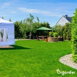 Gazonmest All-In-One (5Kg - Voor 100m2) Voor Een Diepgroen Sterk Gazon Zonder Mos En Onkruid - Complete Meststof Met Kalk En Grasversterker - Organifer -Tuin- En Buitenwinkels 1200x1200 1900