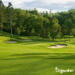 Gazonmest All-In-One (5Kg - Voor 100m2) Voor Een Diepgroen Sterk Gazon Zonder Mos En Onkruid - Complete Meststof Met Kalk En Grasversterker - Organifer -Tuin- En Buitenwinkels 1200x1200 1905