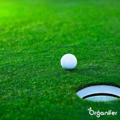 Gazonmest All-In-One (5Kg - Voor 100m2) Voor Een Diepgroen Sterk Gazon Zonder Mos En Onkruid - Complete Meststof Met Kalk En Grasversterker - Organifer -Tuin- En Buitenwinkels 1200x1200 1907