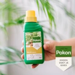 Pokon Palm Voeding - 250ml - Plantenvoeding - 10ml Per 1L Water 13 Pokon Palm Voeding - 250ml - Plantenvoeding - 10ml Per 1L Water -Tuin- En Buitenwinkels 1200x1200 1914
