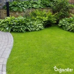 Koemestkorrels 3in1 (20Kg Voor 200m2) Allround Organische Meststof - Direct Opneembare Voeding - Langdurige Werking > 120 Dagen - Geurloos - Verbeterd Bodem - Lavameel Toevoeging - Versterkt Gras En Planten - Organifer -Tuin- En Buitenwinkels 1200x1200 1921