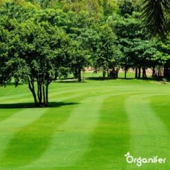 Kalk Korrel Meststof Verrijkt Met Magnesium (5Kg - Voor 100m2) Voor Dieper Bladgroen (+PH) Speciaal Voor Gazon, Perken, Moestuin En Openbaar Groen - Organifer -Tuin- En Buitenwinkels 1200x1200 1939