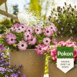 Pokon Terras & Balkonplanten Voeding - 1l - Plantenvoeding - 20ml Per 1L Water -Tuin- En Buitenwinkels 1200x1200 1944