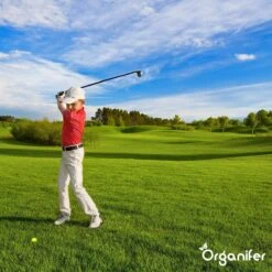 Lavagruis Uit Eifel Oergesteente (20Kg Voor 200m2) Grof Lavameel 0-2mm - Organifer -Tuin- En Buitenwinkels 1200x1200 1976