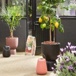 Elho Pure Coupe 35 - Bloempot Voor Binnen & Buiten - Ø 34.9 X H 49.0 Cm - Zwart/Zwart 30 Elho Pure Coupe 35 - Bloempot Voor Binnen & Buiten - Ø 34.9 X H 49.0 Cm - Zwart/Zwart -Tuin- En Buitenwinkels 1200x1200 1998