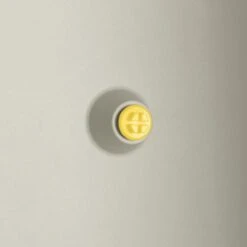 Elho Vivo Structure Finish Lang 90 - Plantenbak Voor Binnen & Buiten - Ø 88 X H 41 - Wit -Tuin- En Buitenwinkels 1200x1200 2022