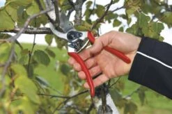 Felco 2 Snoeischaar - Rechtshandig - Max. Knipdiameter 25 Mm - Lengte 215 Mm 20 Felco 2 Snoeischaar - Rechtshandig - Max. Knipdiameter 25 Mm - Lengte 215 Mm -Tuin- En Buitenwinkels 1200x796 9