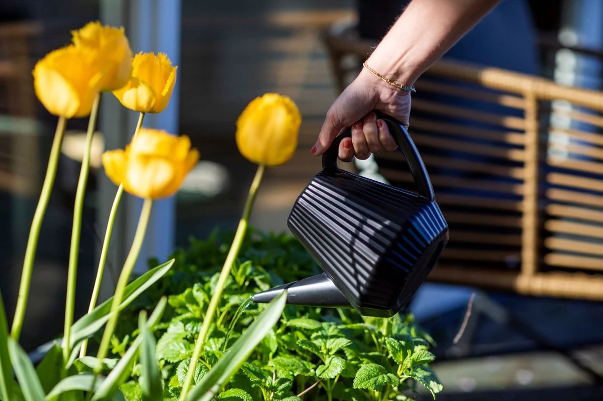 Xala - Gieter Doppio Groove 2L Zwart 3 Xala - Gieter Doppio Groove 2L Zwart - Afbeelding 3