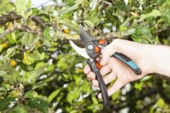 GARDENA - Comfort B/S-XL Bypass - Snoeischaar - Ø 24 Mm - 25 Jaar Garantie -Tuin- En Buitenwinkels 1200x799 83