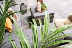 Fonteyn | Loungeset Connor | Melange -Tuin- En Buitenwinkels 1200x800 168