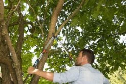 Gardena TeleCut Takkenschaar 650-900 B - Uitschuifbare Armen - Tot Max 90 Cm -Tuin- En Buitenwinkels 1200x800 299