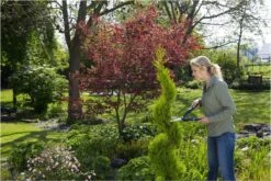 GARDENA PrecisionCut Buxusschaar - Meslengte 18 Cm - Vormsnoeien -Tuin- En Buitenwinkels 1200x800 304