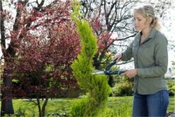 GARDENA PrecisionCut Buxusschaar - Meslengte 18 Cm - Vormsnoeien -Tuin- En Buitenwinkels 1200x800 305