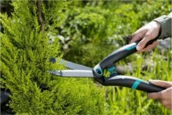 GARDENA PrecisionCut Buxusschaar - Meslengte 18 Cm - Vormsnoeien -Tuin- En Buitenwinkels 1200x800 306