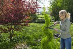 GARDENA PrecisionCut Buxusschaar - Meslengte 18 Cm - Vormsnoeien -Tuin- En Buitenwinkels 1200x800 308