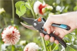 GARDENA Comfort B/M Bypass Snoeischaar - Ø 24mm - Met Sapgeul -Tuin- En Buitenwinkels 1200x800 315