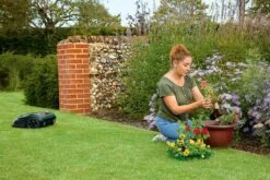 Bosch Indego S+ 500 Robotmaaier - Voor Gazons Tot 500 M2 - Incl. Laadstation En Accessoires - Connected -Tuin- En Buitenwinkels 1200x800 327